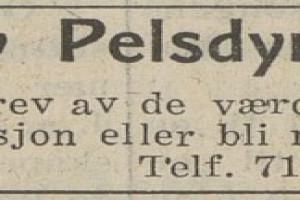 Bilde av Nordby Pelsdyroppdrett, Brønnum